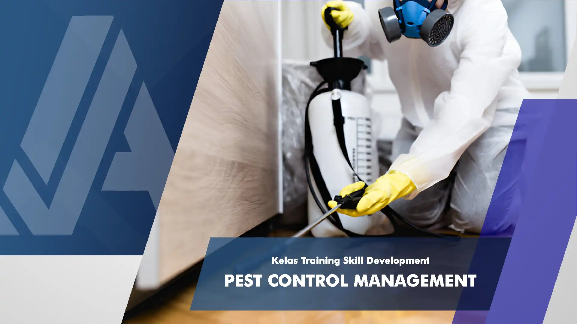 Pest Control Management